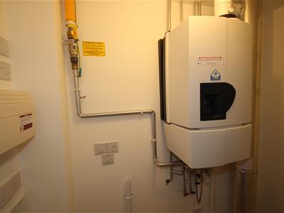 Picture 17